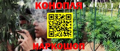 спайс Можга